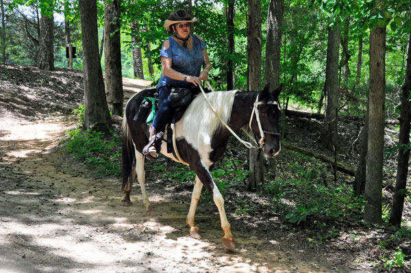 horse and rider at Lake Haigler